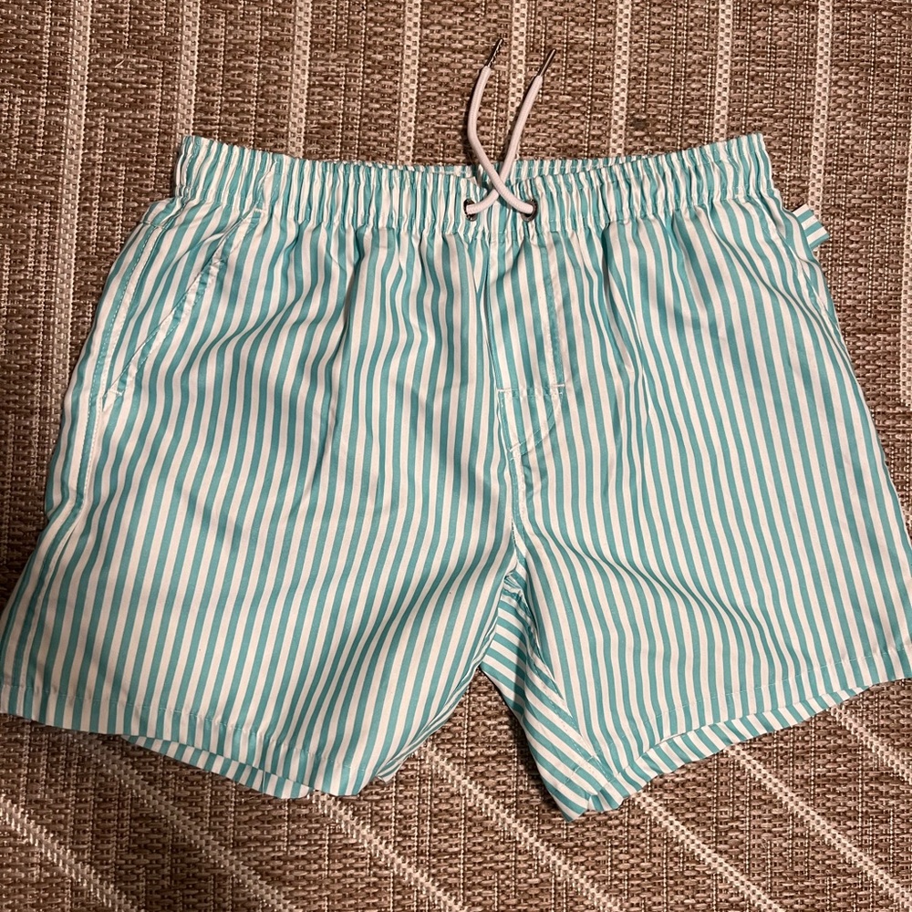 Aqua Striped Men's Swim Trunks